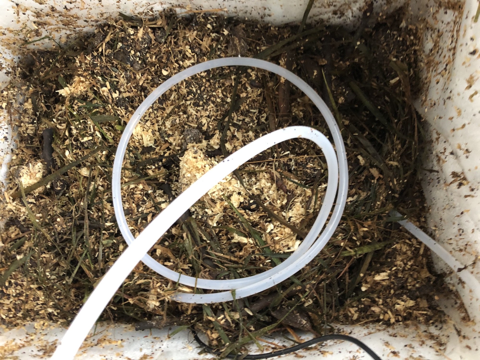 Einsetzen des Wasserschlauches